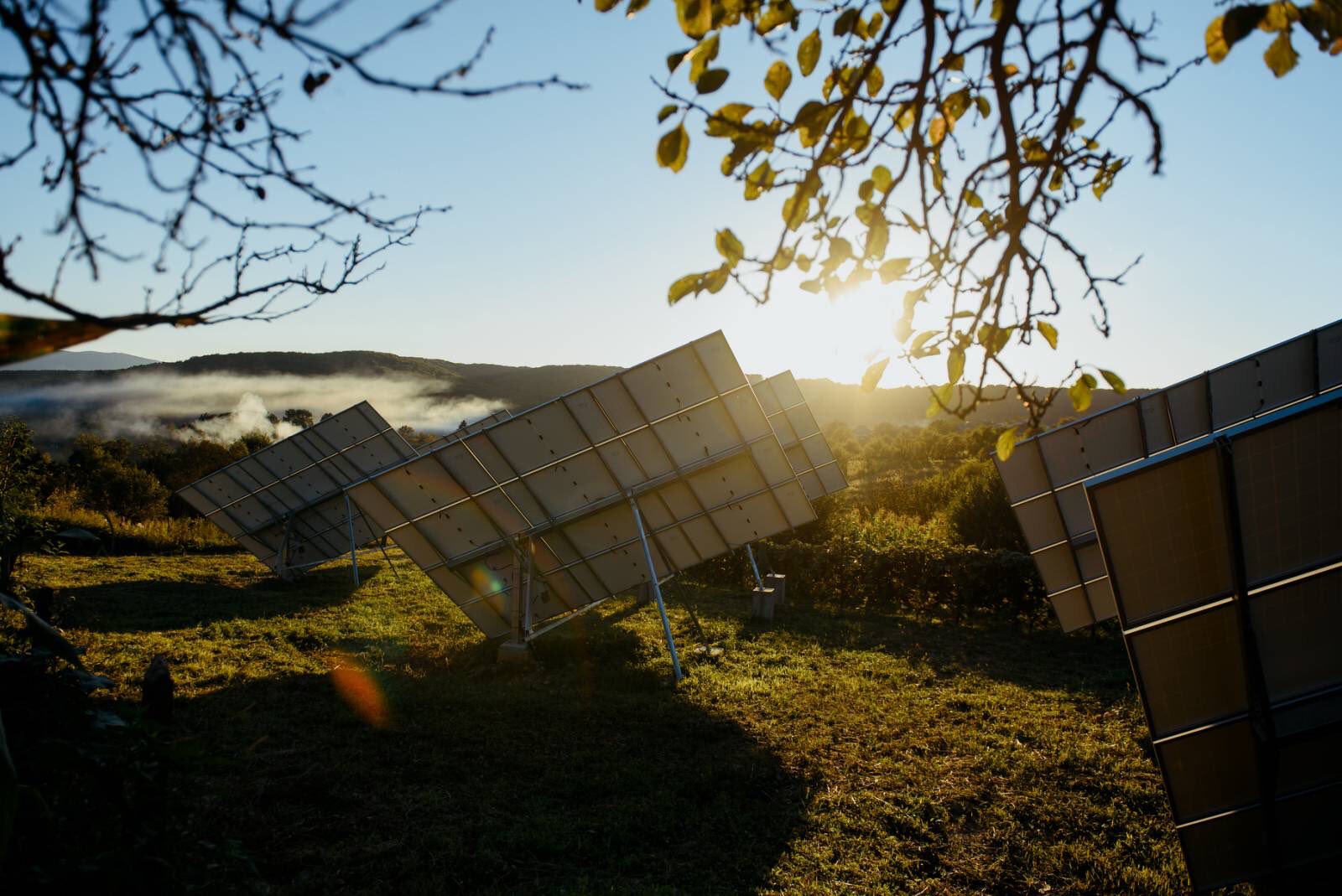 Форма обратной связи