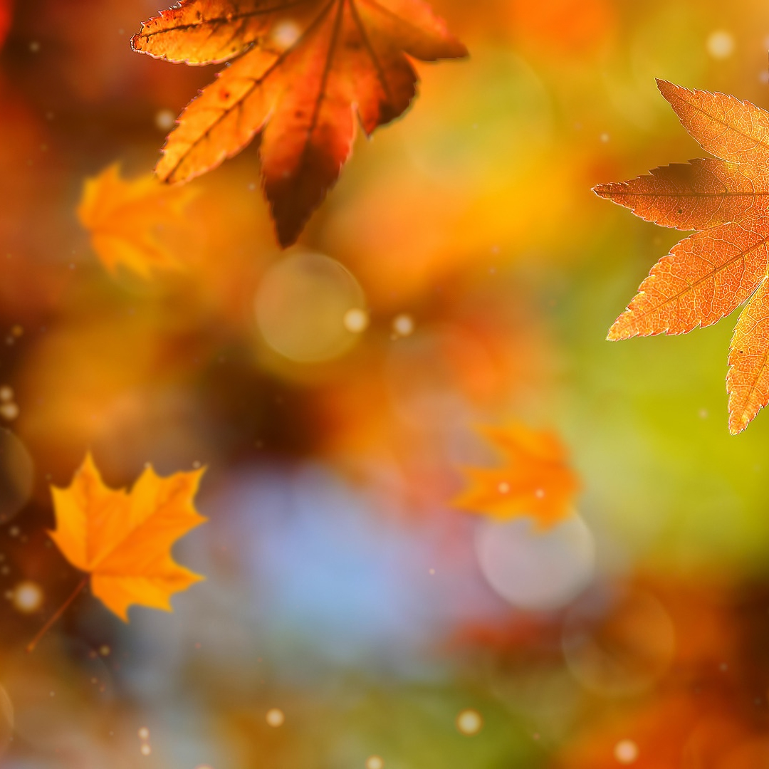 Форма обратной связи